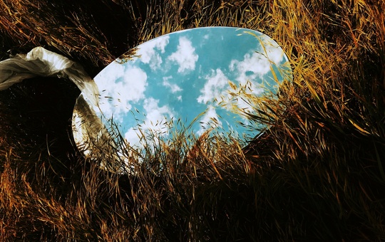 Symbolbild: Spiegelung im Gras